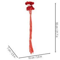 Prodotto Fiori di Craspedia essiccati, tinti, con steli lunghi, 55 cm, 20 pezzi