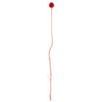 Prodotto Fiori di Craspedia essiccati, tinti, con steli lunghi, 55 cm, 20 pezzi