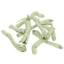 Radici Cupy, Pepe Cone verde chiaro, lavato bianco 350g
