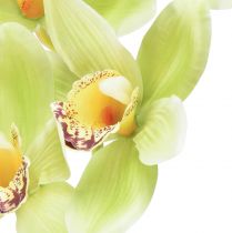 Prodotto Orchidea Cymbidium artificiale 5 fiori verdi 65 cm