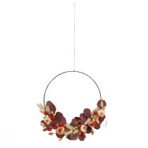 Prodotto Ghirlanda di fiori secchi fai da te con anello a scatola, fiori di paglia Ø30cm - Anello decorativo boho - Progetta il tuo