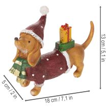 Prodotto Statuetta decorativa di bassotto con confezione regalo e cappellino, 18 cm