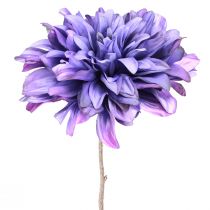 Prodotto Dalia artificiale con fiori grandi in viola L58cm