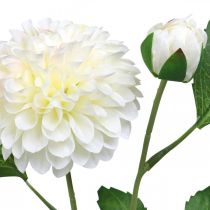 Prodotto Dahlia fiori artificiali artificiali crema verde 2 fiori 60cm