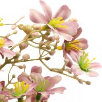 Prodotto Ramo decorativo con fiori rosa artificiale Daphne ramo 110cm 3 pezzi