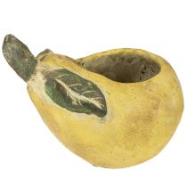 Prodotto Fioriera decorativa in cemento a forma di pera, decorazione autunnale 19×12,5×15,5 cm