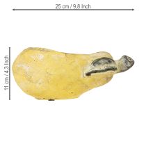 Prodotto Vaso decorativo per piante autunnali in cemento, 25×13×11cm