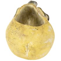 Prodotto Vaso decorativo per piante autunnali in cemento, 25×13×11cm