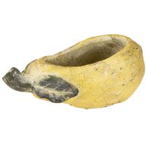 Prodotto Vaso decorativo per piante autunnali in cemento, 25×13×11cm