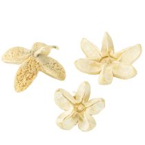 Prodotto Fiore decorativo sbiancato 12 pezzi