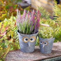 Prodotto Secchio decorativo gufo fioriera in zinco con manico Ø15/19cm set da 2