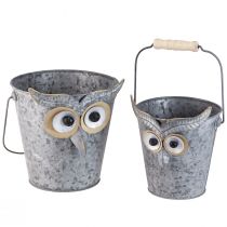 Prodotto Fioriera decorativa a secchiello con gufo in zinco con manico Ø15/19 cm, set da 2