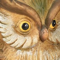 Prodotto Figura decorativa di gufo dipinta a mano, decorazione autunnale in poliresina H14cm