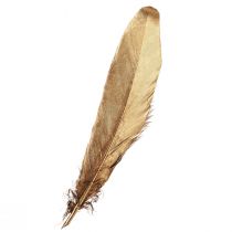 Prodotto Piume decorative dorate Piume decorative natalizie 15-20 cm 12 pz
