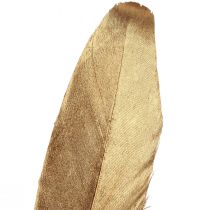Prodotto Piume decorative dorate Piume decorative natalizie 15-20 cm 12 pz