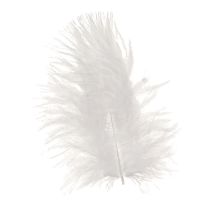 Prodotto Piume decorative in materiale bianco per artigianato primaverile 5-10 cm 20 g