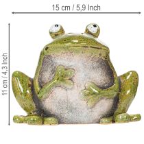 Prodotto Rana decorativa in ceramica verde e marrone, stile vintage, lunghezza 15,5 cm.