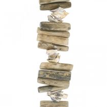 Prodotto Conchiglie di ghirlande decorative e legni da acquario 90 cm