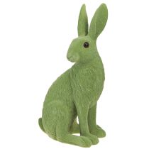 Prodotto Coniglietto decorativo seduto Coniglietto pasquale floccato verde 12×9×25 cm