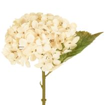 Prodotto Ortensie decorative artificiali in seta color crema, 34 cm, 2 pezzi