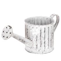 Prodotto Annaffiatoio decorativo, fioriera, annaffiatoio per piante Ø10,5 cm