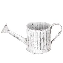 Prodotto Annaffiatoio decorativo, fioriera, annaffiatoio per piante Ø10,5 cm