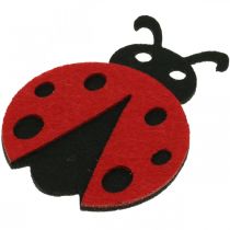 Clip decorative coccinella, molla, scarabeo portafortuna da decorare, decoro in feltro 16pz