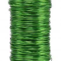 Prodotto Filo Smaltato Deco Verde Mela Ø0.50mm 50m 100g