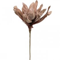 Deco fiore di loto fiore di loto artificiale fiore artificiale marrone L68cm