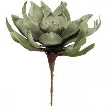 Deco fiore di loto fiore di loto artificiale fiore artificiale verde L70cm