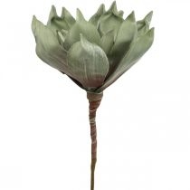 Deco fiore di loto, fiore di loto, fiore di seta verde L64cm