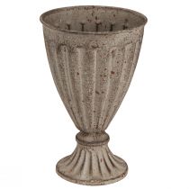 Prodotto Fioriera trofeo decorativa aspetto antico grigio marrone Ø13cm H19cm