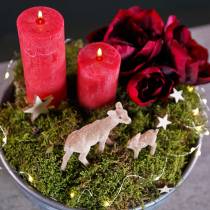 Deco cervo 10 cm con set floccato marrone fulvo