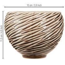 Prodotto Ciotola decorativa vaso di fiori in ceramica beige marrone Ø15cm 2pz