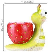 Prodotto Vaso decorativo a forma di lumaca in ceramica verde e rosso fragola 15,5 cm