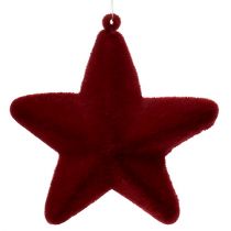 Prodotto Stella decorativa rosso scuro 20cm floccata