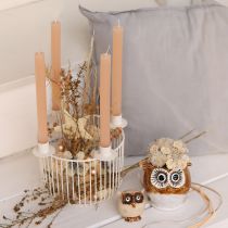 Prodotto Stelle decorative, rafia di canapa, 7,5 cm, decorazioni per l'albero di Natale, 8 pezzi