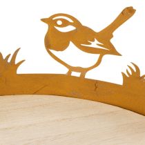 Prodotto Vassoio decorativo, decorazione da tavola con uccellini, decorazione primaverile, metallo arrugginito, Ø20cm H8.5cm