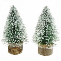Decorazione natalizia, abete decorativo, mini abete verde innevato H15cm Ø9,5cm 6 pezzi
