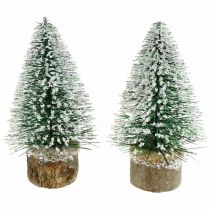 Prodotto Decorazione natalizia, abete decorativo, mini abete verde innevato H15cm Ø9,5cm 6 pezzi