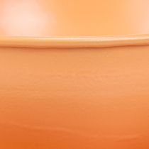 Prodotto Tazza decorativa Ø16cm H9cm con piastra in metallo, arancione, 2 pezzi