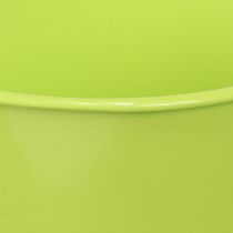 Prodotto Tazza da tè decorativa in metallo con piatto verde chiaro Ø12 H10cm 8 pz