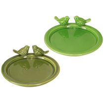 Prodotto Piatto decorativo vasca per uccelli decorazione da tavolo ceramica verde Ø20,5cm 2pz