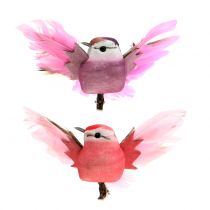 Uccelli decorativi sulla clip rosa / viola 9 cm 8 pezzi