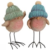 Prodotto Uccello decorativo con cappello decorazione invernale blu verde H18cm 2 pz