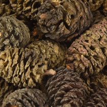 Prodotto Pigne decorative di ontano naturali per decorare 3-4 cm 200 g