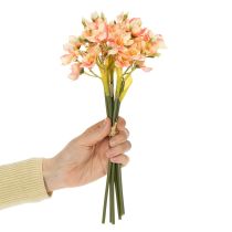 Prodotto Ramo decorativo fiorito di giglio peruviano per composizioni senza tempo, 33 cm, 6 pezzi