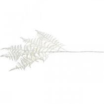 Prodotto Deco felce pianta artificiale foglia di felce felce artificiale bianca L78cm