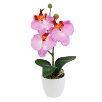 Orchidea decò in vaso rosa H29cm