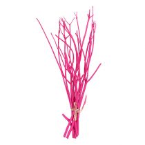 Rami decorativi Mitsumata 45-60cm rosa 12p